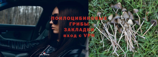 ПСИЛОЦИБИНОВЫЕ ГРИБЫ Аркадак