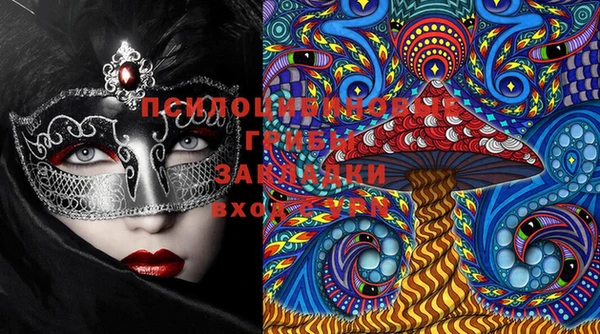 ПСИЛОЦИБИНОВЫЕ ГРИБЫ Аркадак