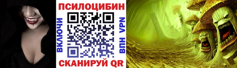 Галлюциногенные грибы Psilocybe  Астрахань 