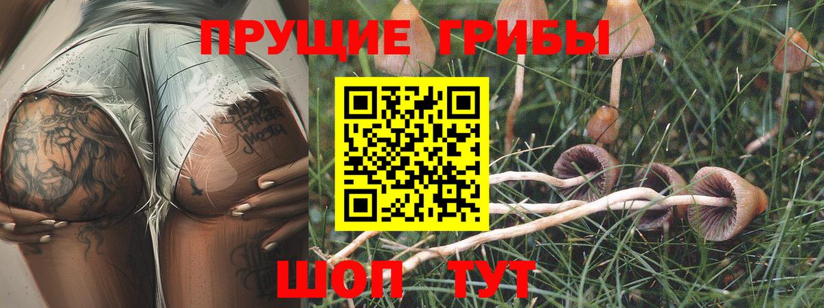 Псилоцибиновые грибы MAGIC MUSHROOMS Астрахань