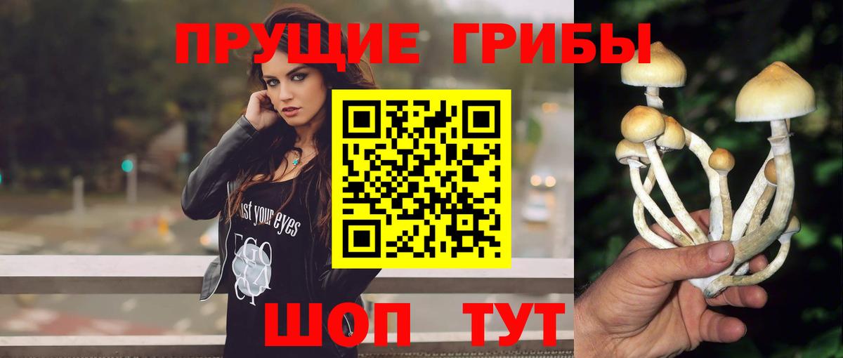 Галлюциногенные грибы мицелий  как найти наркотики  Вход с VPN  Астрахань  Псилоцибиновые грибы Magic Shrooms 